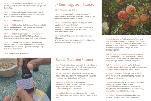 programm2