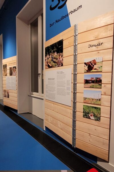 20251128_172137 20251128_172137