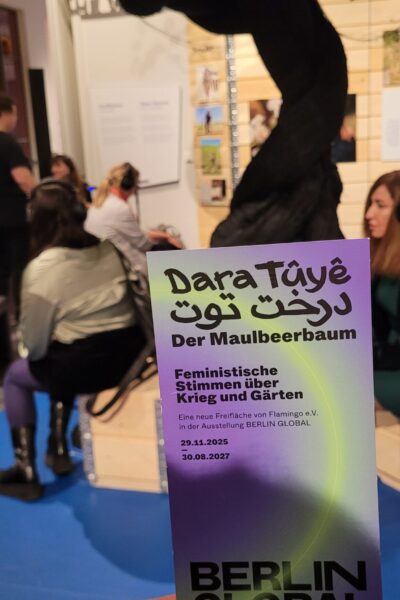 20251128_173619 20251128_173619