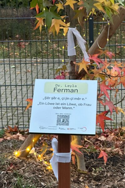 IMG-20251025-WA0003 IMG-20251025-WA0003